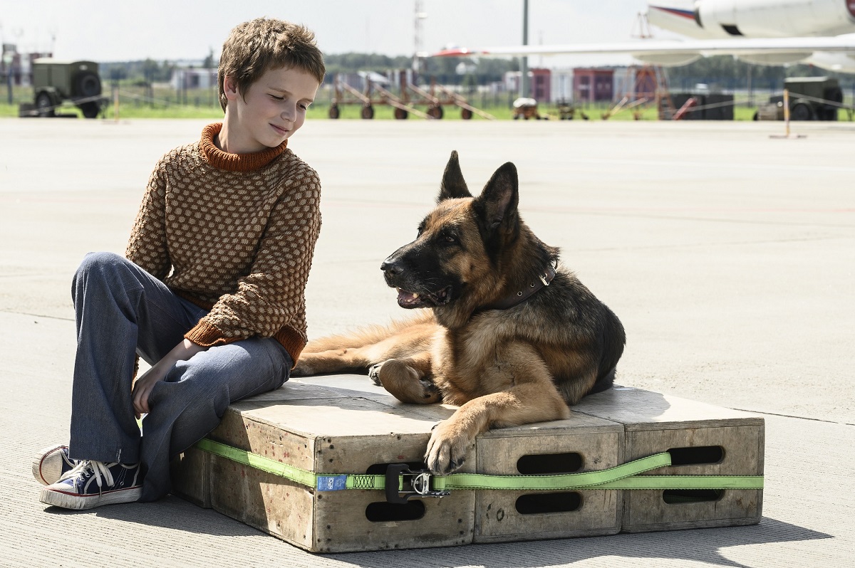 モスクワの空港で飼い主待ち続ける犬のパルマと少年コーリャの絆　映画「ハチとパルマの物語」特報公開