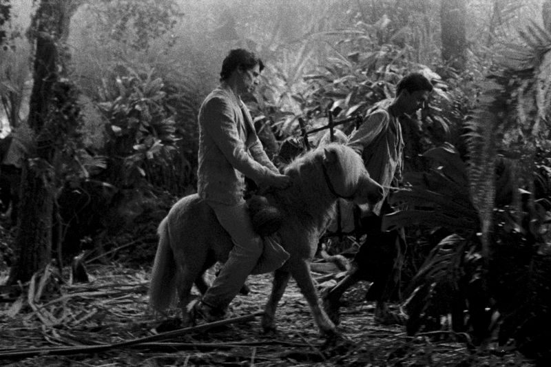 カンヌ映画祭で監督賞を受賞 ミゲル・ゴメスが描く時空を超えた旅 「グランドツアー」公開決定