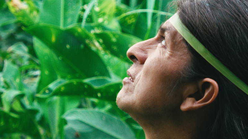 日本人が1年に渡りアマゾンで撮影　未知の先住民族描き出すドキュメンタリー「カナルタ 螺旋状の夢」公開