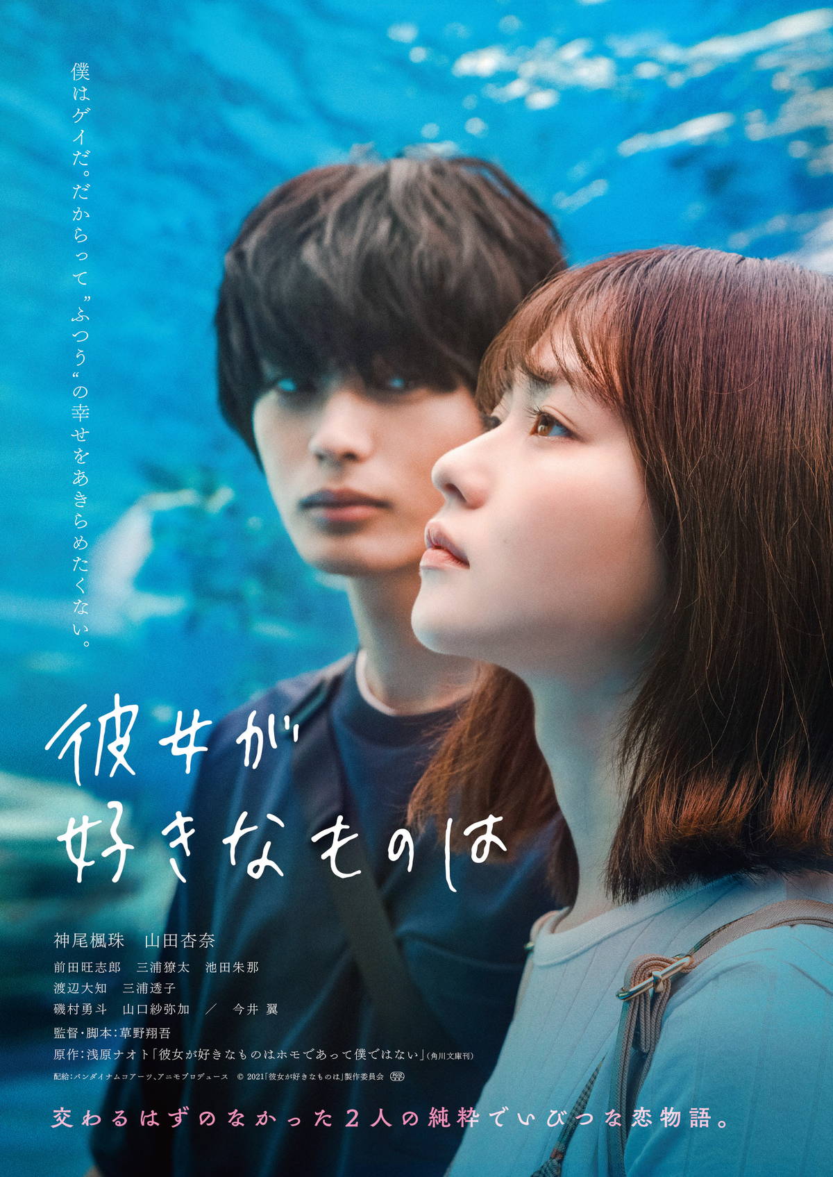 神尾楓珠、ゲイであることを隠して山田杏奈と水族館・遊園地・お祭りデート 「彼女が好きなものは」特報 ｜ 映画スクエア