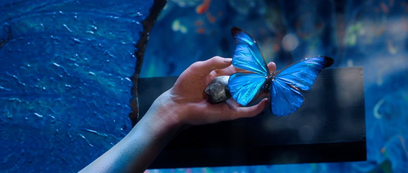 市川染五郎が美しくはかない標本に　固い表情の西島秀俊も　「人間標本」KV＆場面写真