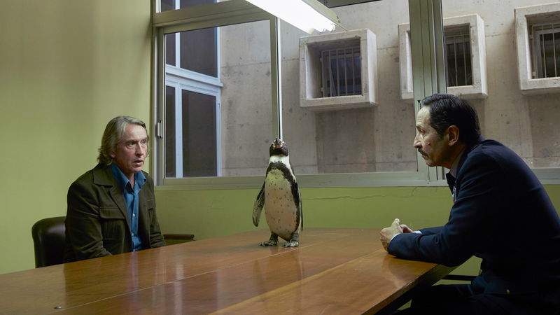 ペンギンと教壇に立つ英語教師 教師の悩み相談に乗るペンギンの姿も 「ペンギン・レッスン」場面写真