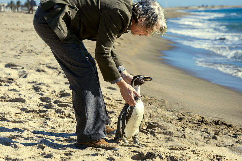 ペンギンと教壇に立つ英語教師 教師の悩み相談に乗るペンギンの姿も 「ペンギン・レッスン」場面写真