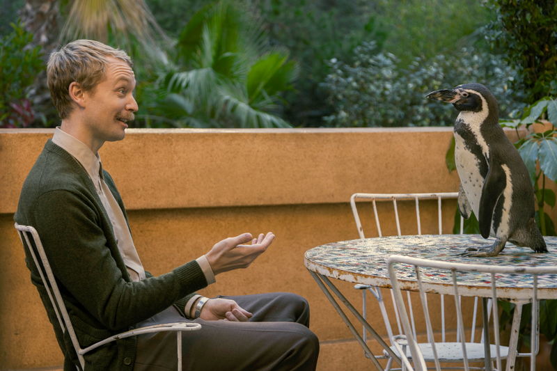 ペンギンと教壇に立つ英語教師 教師の悩み相談に乗るペンギンの姿も 「ペンギン・レッスン」場面写真