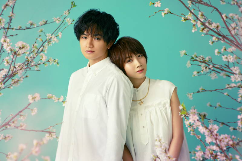 主演・中島健人「26年の人生の最高傑作にしたい」　恋愛小説「桜のような僕の恋人」Netflix映画に