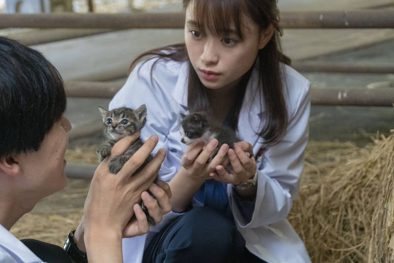 パートナーの犬と眠りこけてしまう林遣都　子猫を見つめる大原櫻子　「犬部！」場面写真公開