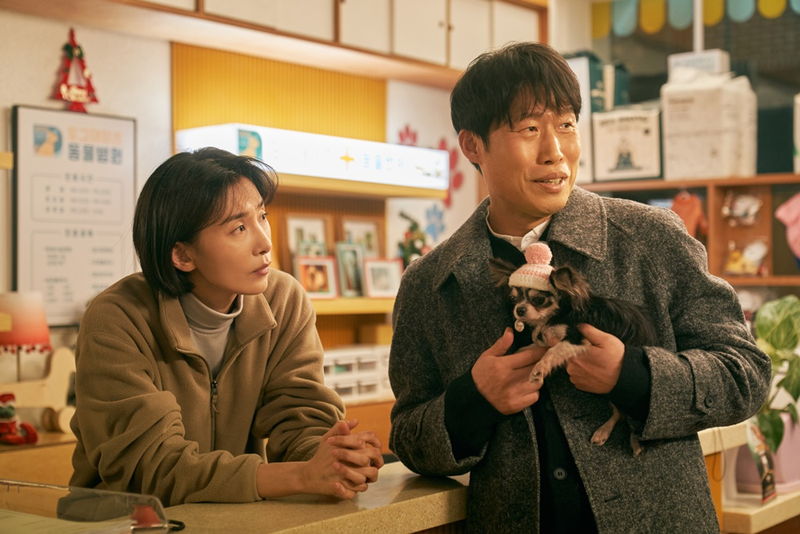 孤独を抱えた人々とチャーミングな犬たち　偶然の出会いが奇跡を起こす　「DOG DAYS」公開決定