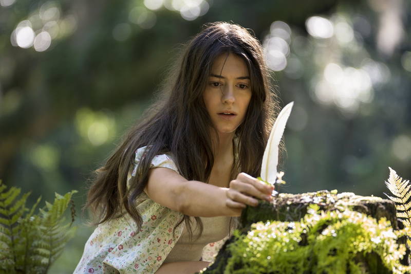 両親に見捨てられながらも、ひとり湿地帯でたくましく生きる少女の物語　「ザリガニの鳴くところ」公開決定