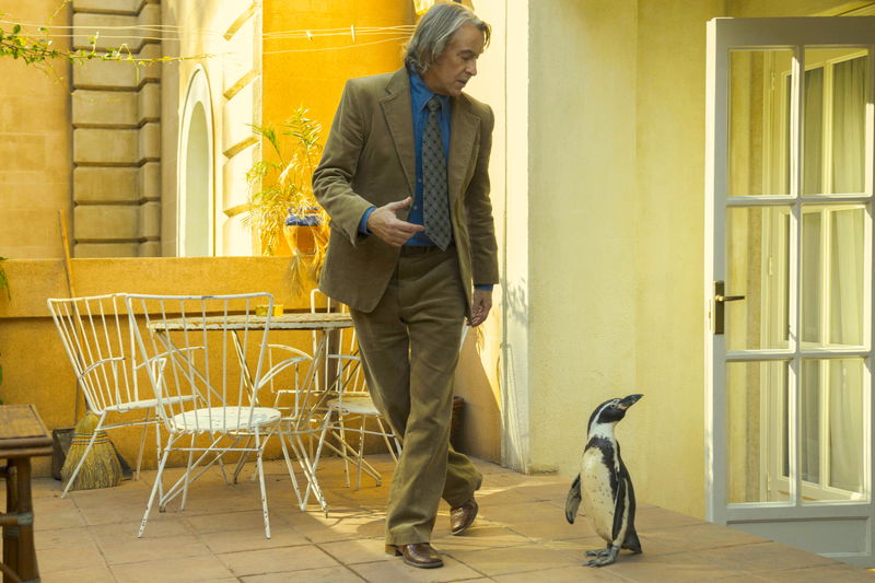 ペンギンと教壇に立つ英語教師 教師の悩み相談に乗るペンギンの姿も 「ペンギン・レッスン」場面写真