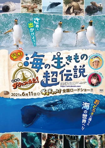 驚き！海の生きもの超伝説 劇場版ダーウィンが来た！