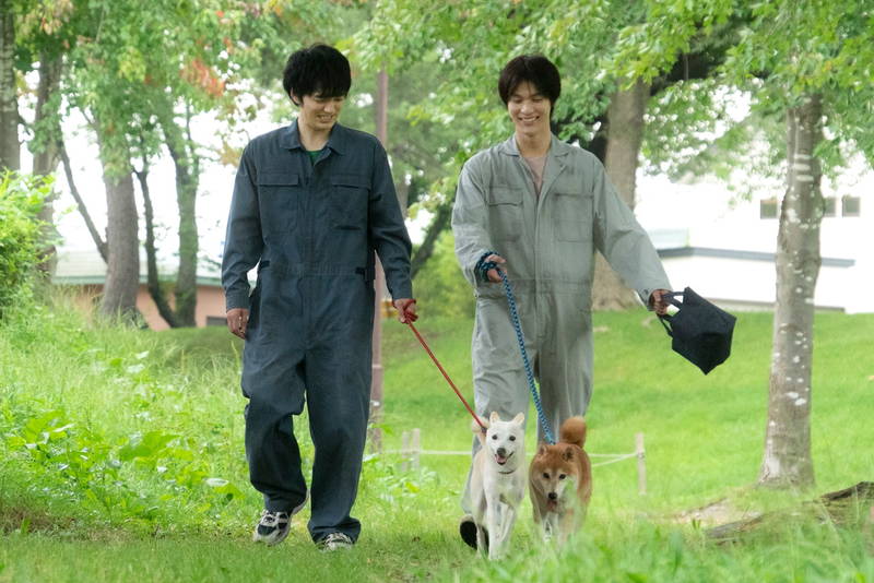 林遣都　犬を抱いてくしゃくしゃの笑顔　手術シーンでは真剣な表情も　「犬部！」場面写真公開