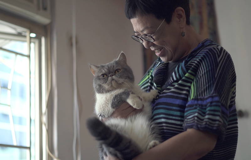 香港映画界の巨匠アン・ホイの映画人生を描く　ドキュメンタリー映画「我が心の香港」11月公開決定