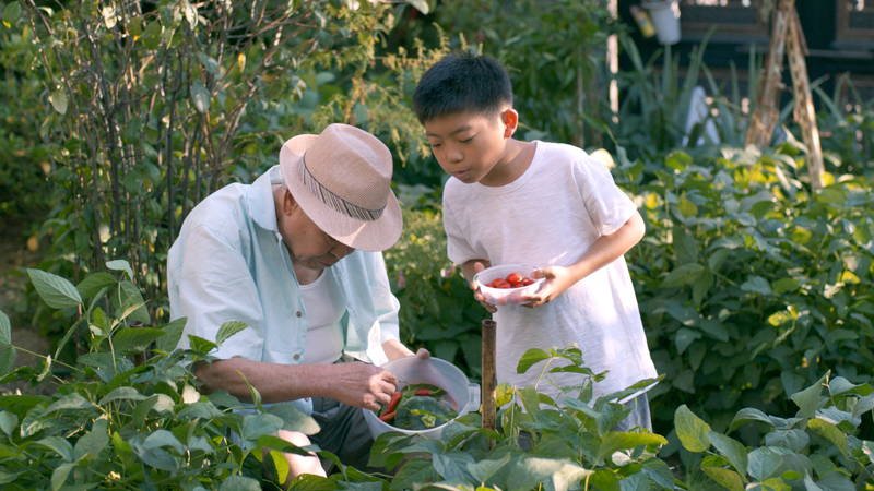 監督が写真で抜擢チェ・ジョンウン　「愛の不時着」出演パク・スンジュン　「夏時間」2人の子役場面写真