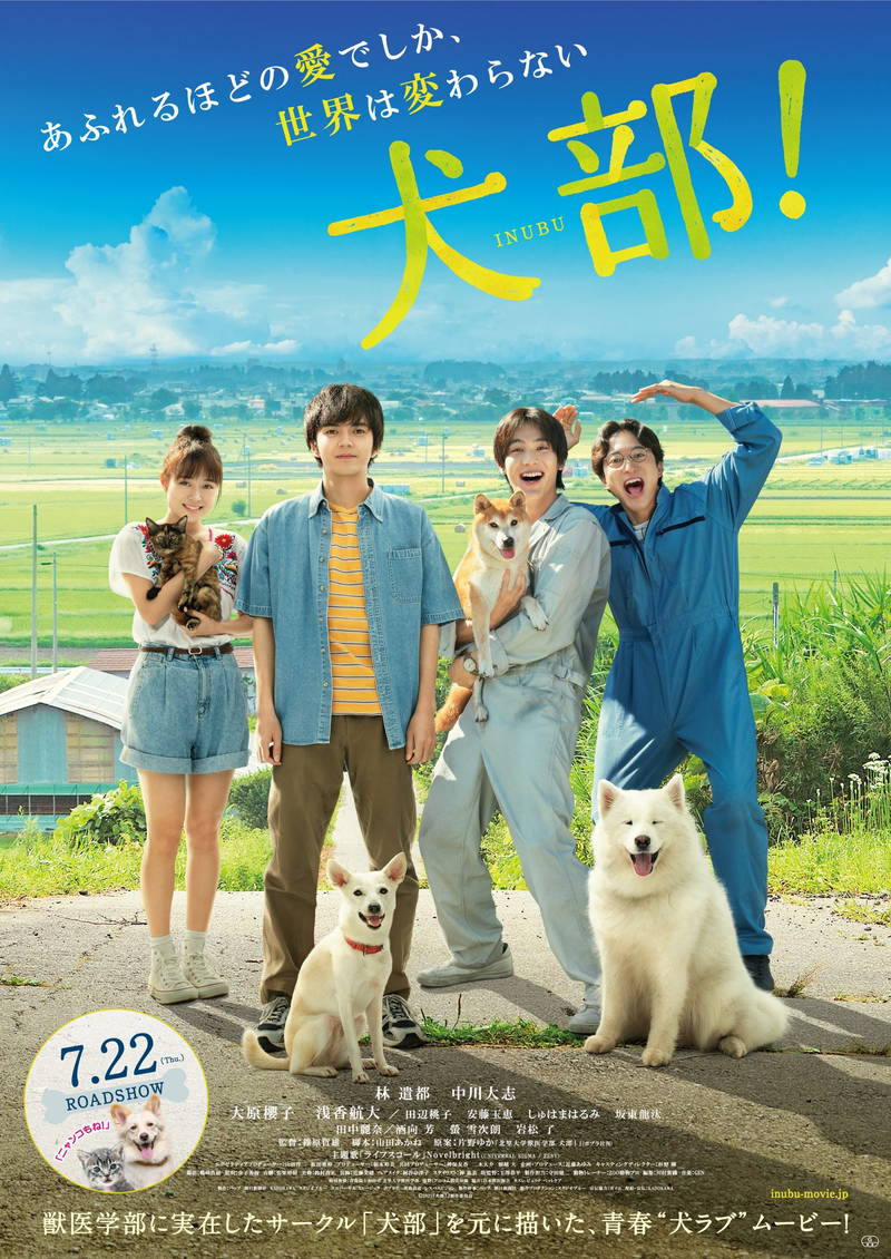 林遣都　犬を抱いてくしゃくしゃの笑顔　手術シーンでは真剣な表情も　「犬部！」場面写真公開