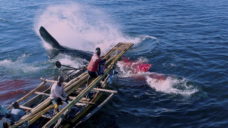 鯨に感謝をささげながら生きるインドネシア一家の姿　「くじらびと」本編映像