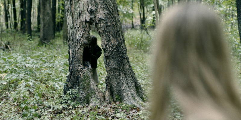 森に仕掛けられた罠に襲われる若者たち　姿を見せる異形の存在　リブート版「クライモリ」予告編
