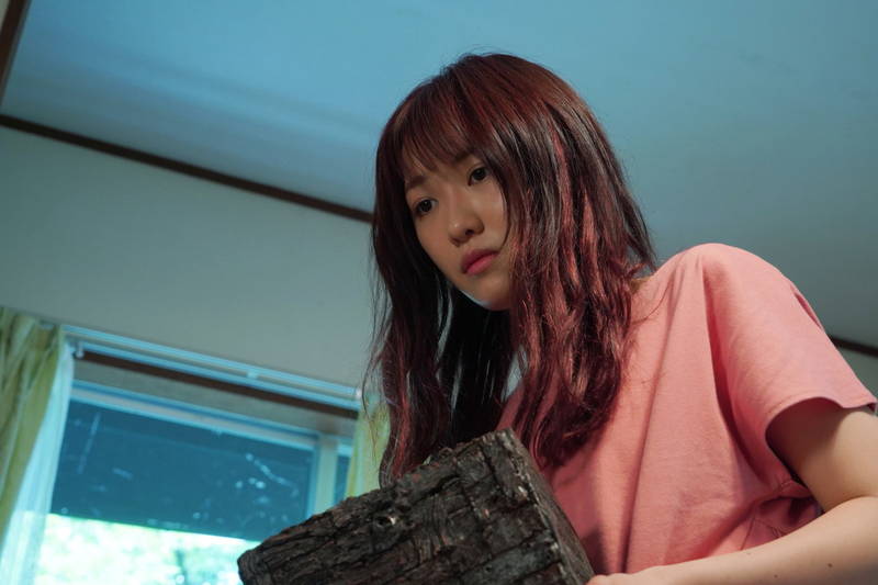 樹海村×裾野市ゆるキャラ「樹海すそのん」　全日本プロレス登場　TAJIRIは新技「コトリバコ」披露