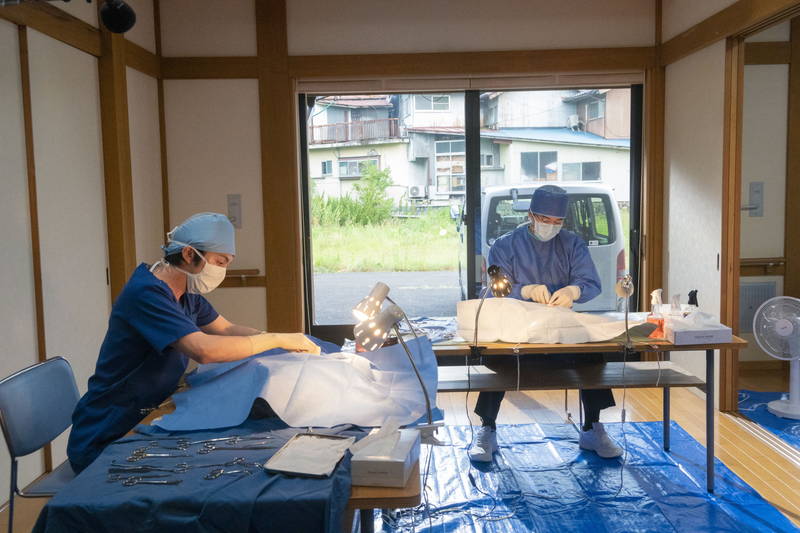 林遣都　犬を抱いてくしゃくしゃの笑顔　手術シーンでは真剣な表情も　「犬部！」場面写真公開