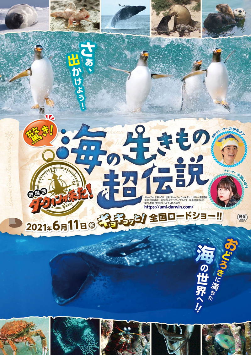 NHK「ダーウィンが来た！」映画化第三弾公開決定　舞台は海　水瀬いのりとさかなクンがナレーター