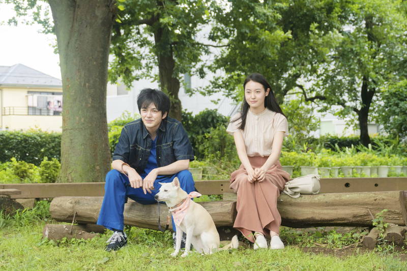 林遣都　犬を抱いてくしゃくしゃの笑顔　手術シーンでは真剣な表情も　「犬部！」場面写真公開