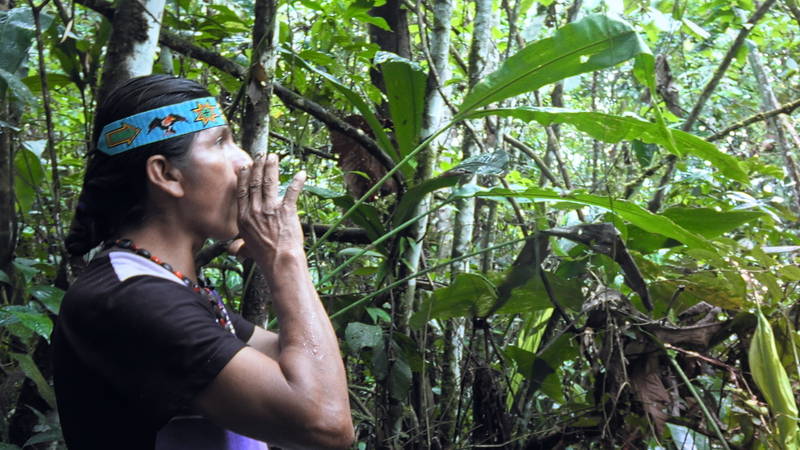 熱帯雨林の生物の音、住民の歌声　未知の先住民族描き出すドキュメンタリー「カナルタ 螺旋状の夢」予告